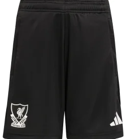 adidas Performance Shorts - Liverpool Youth 25/26 - Sort
