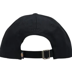 Dickies Kasket - Essential - Sort