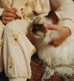 Konges Sløjd Sweatpants - Belli - Miao Amore