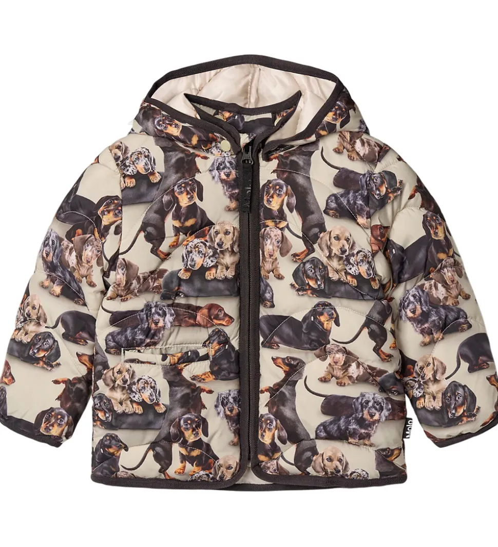 Molo Dynejakke - Harmony - Dashshund Soft