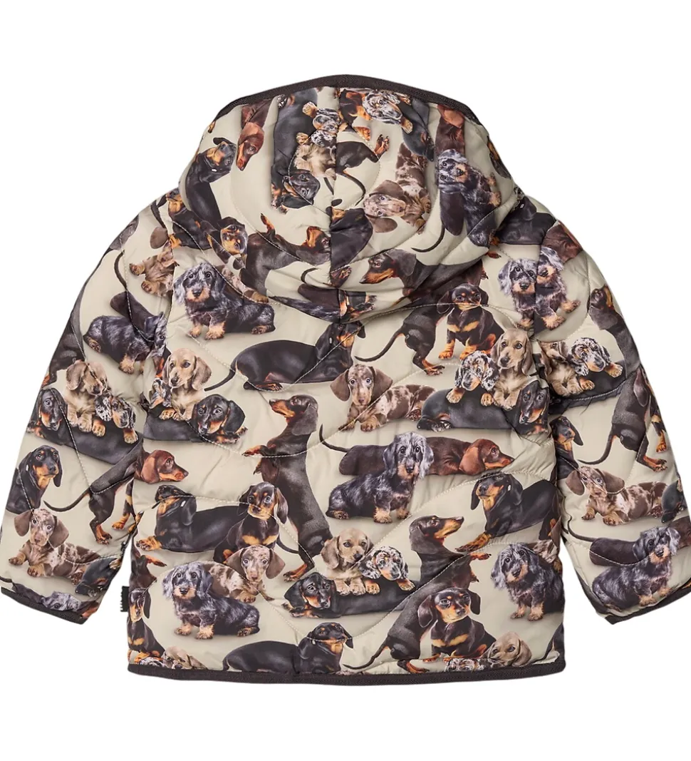 Molo Dynejakke - Harmony - Dashshund Soft