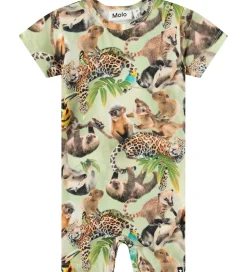 Molo Sommerdragt - Finn - Jungle Cubs