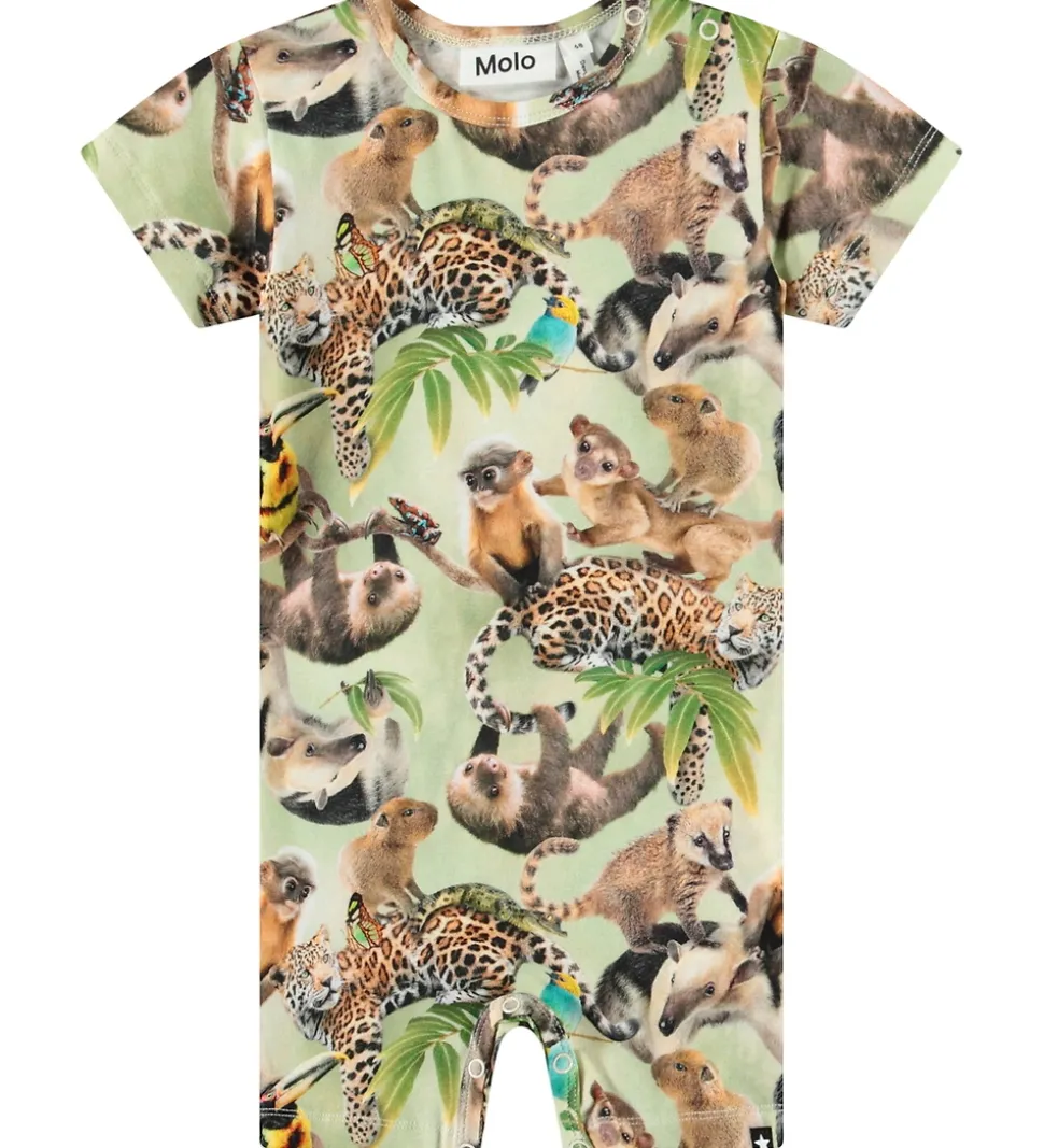 Molo Sommerdragt - Finn - Jungle Cubs