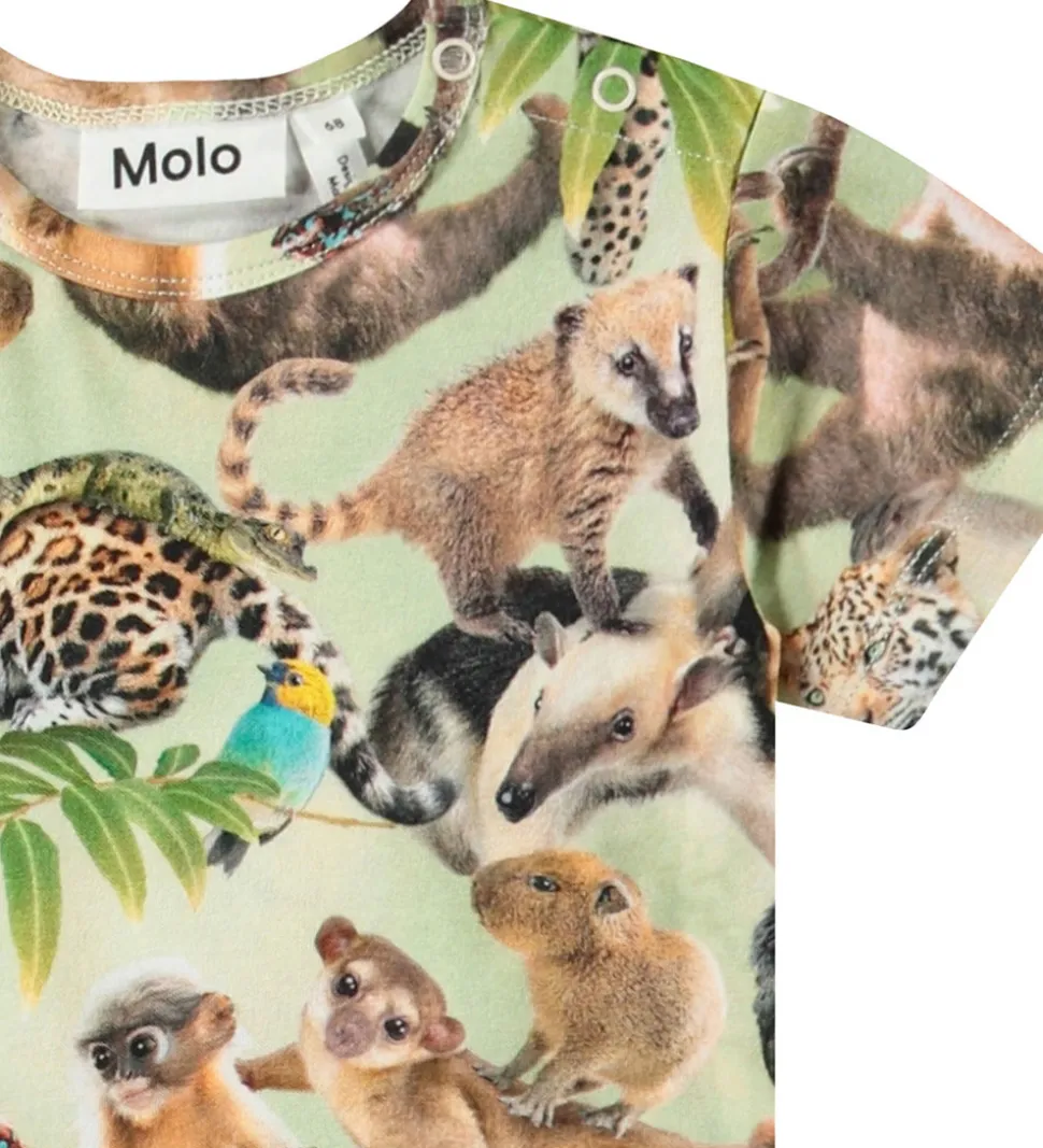 Molo Sommerdragt - Finn - Jungle Cubs