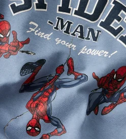 Name It Sweatshirt - NmmObert - Spider - Flint Stone