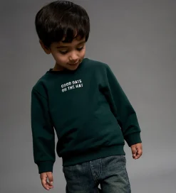 Name It Sweatshirt - NmmSlade - Pine Grove