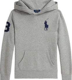 Polo Ralph Lauren Hættetrøje - Andover Heather m. Navy