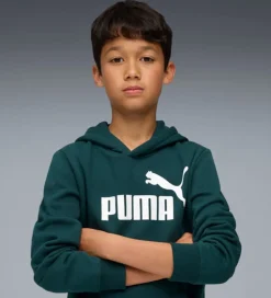 Puma Hættetrøje - Green Terrain m. Logo